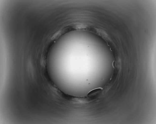 X0000086250763200704121952