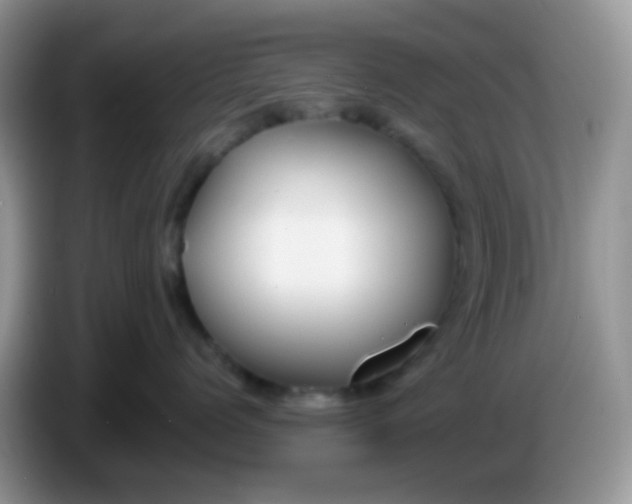 X0000086250768200704121952