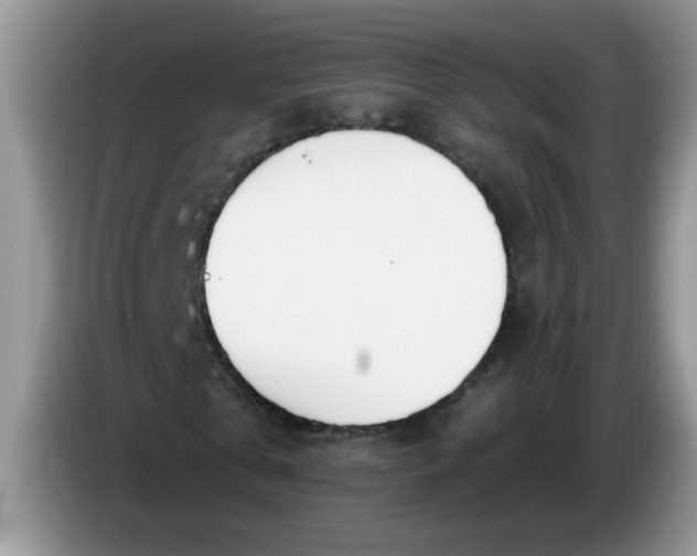 X0000086250769200704121951
