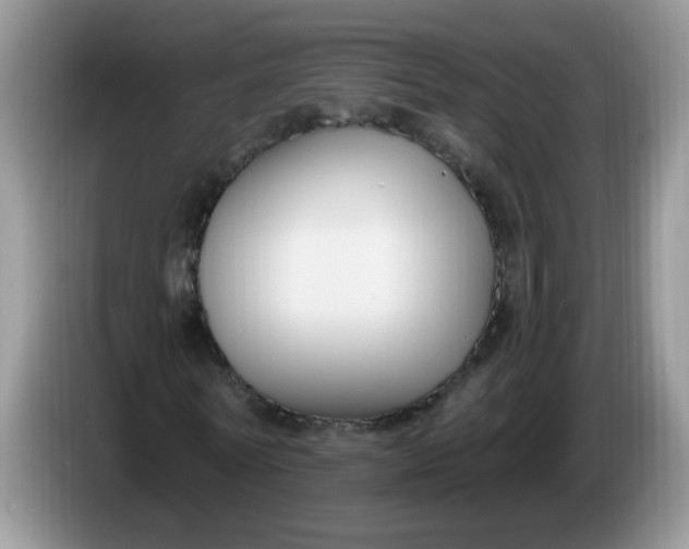 X0000086250770200704121951