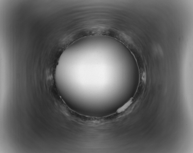 X0000086250771200704121951