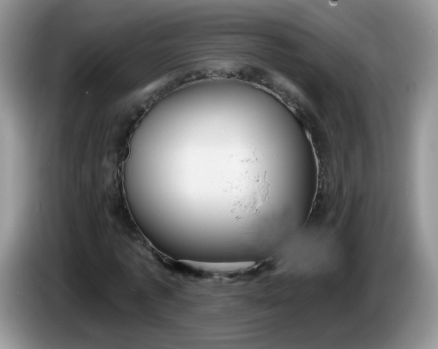 X0000086250773200704121951