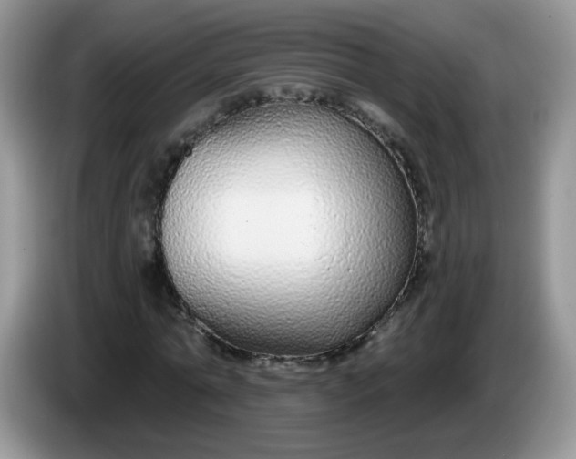 X0000086250774200704121951
