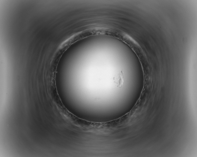 X0000086250775200704121951