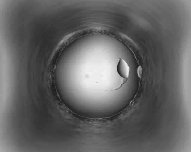 X0000086250776200704121951