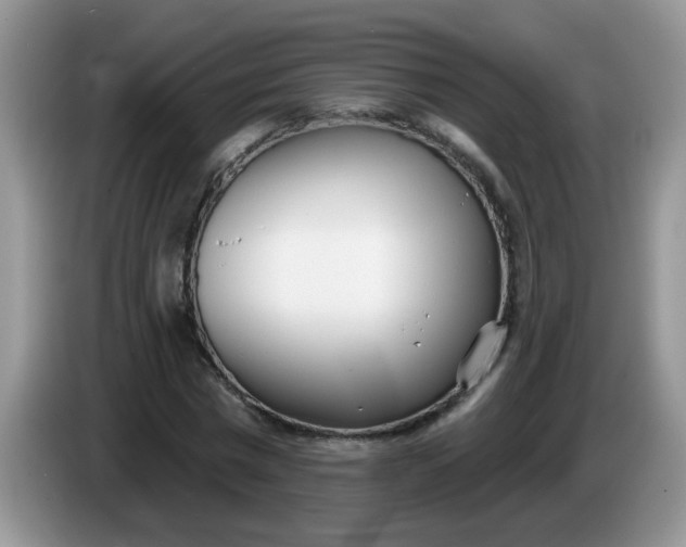 X0000086250777200704121951