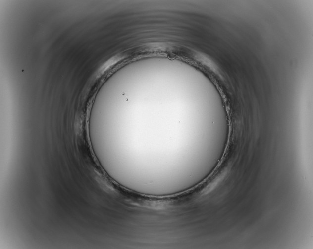 X0000086250778200704121951