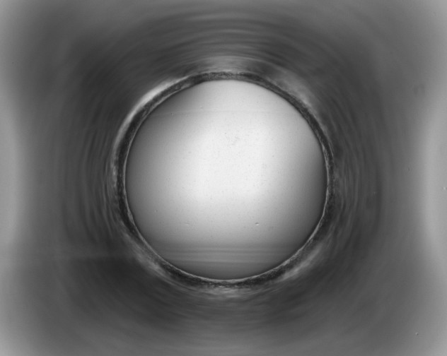 X0000086250779200704121951