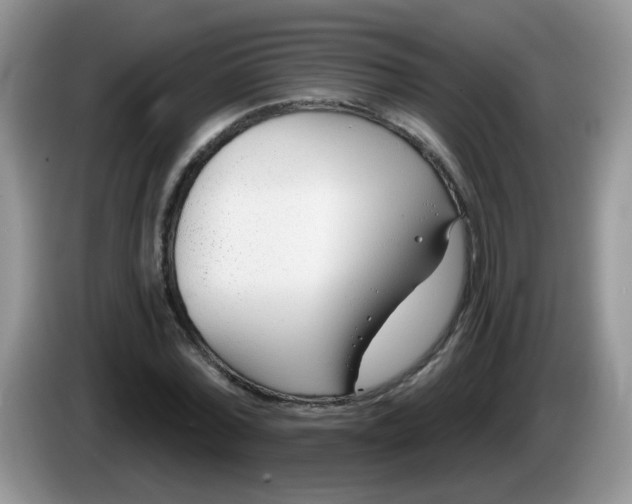 X0000086250780200704121951