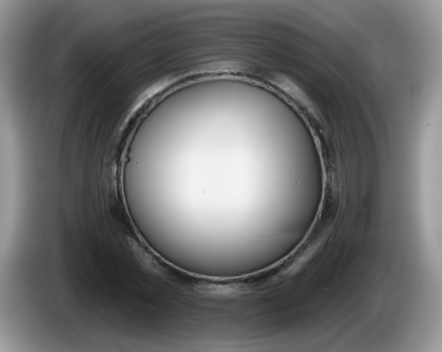 X0000086250781200704121951