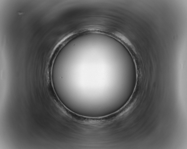 X0000086250782200704121951