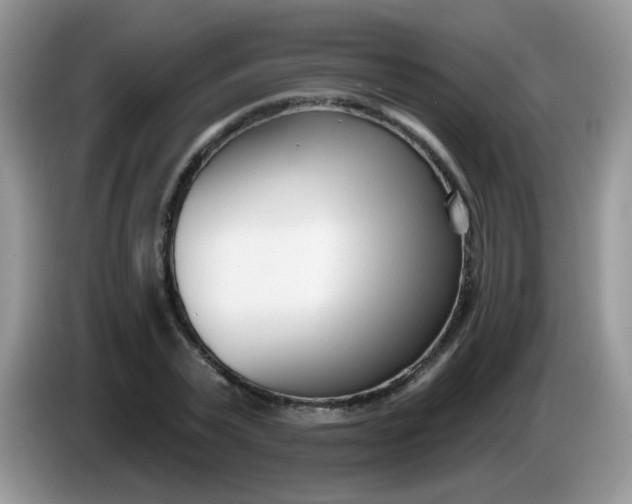 X0000086250783200704121951