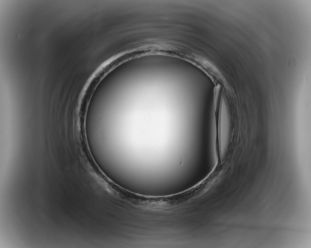 X0000086250784200704121951