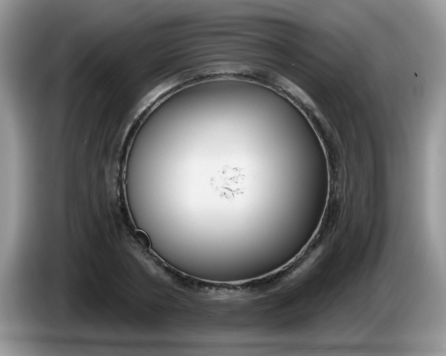 X0000086250786200704121951