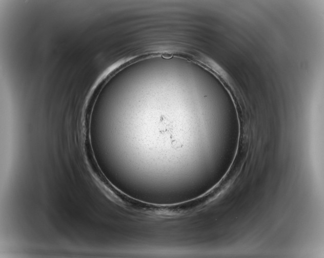 X0000086250787200704121951