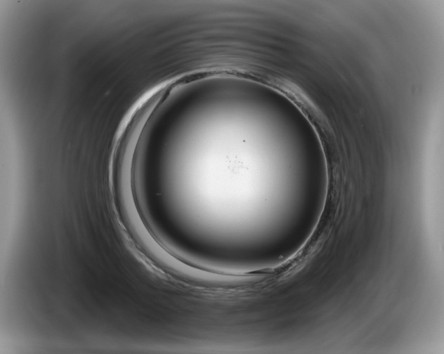 X0000086250788200704121951