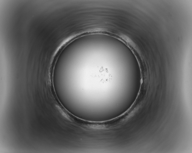 X0000086250789200704121951