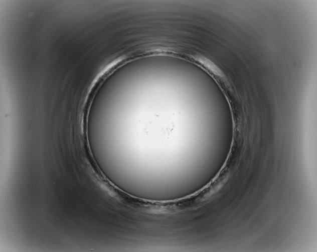 X0000086250790200704121951