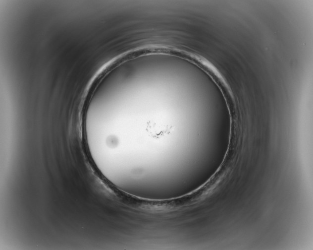 X0000086250791200704121951