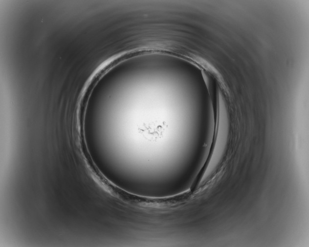 X0000086250792200704121951