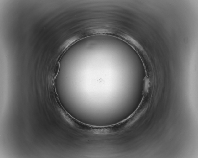 X0000086250793200704121951