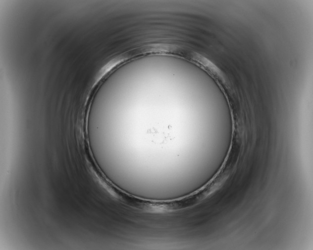 X0000086250794200704121951
