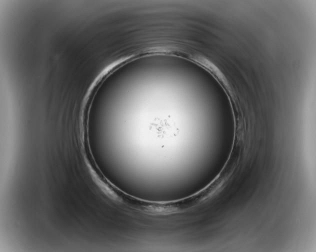 X0000086250795200704121951