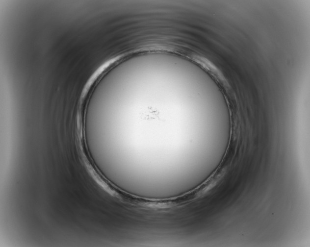 X0000086250796200704121951