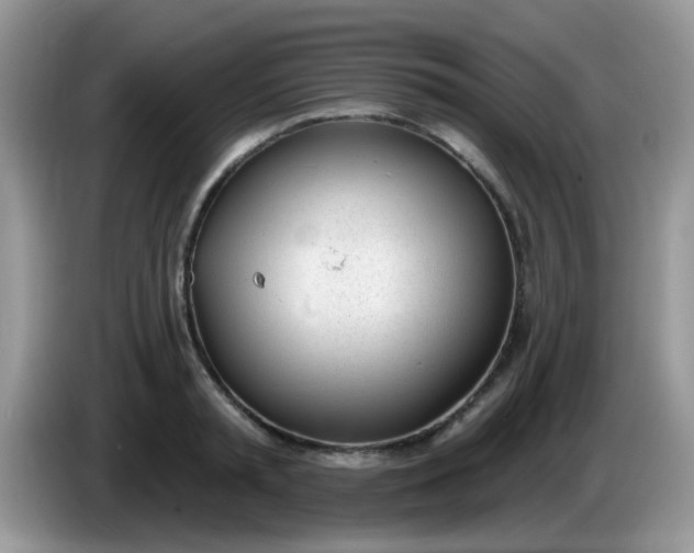 X0000086250797200704121951