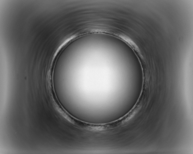 X0000086250798200704121951