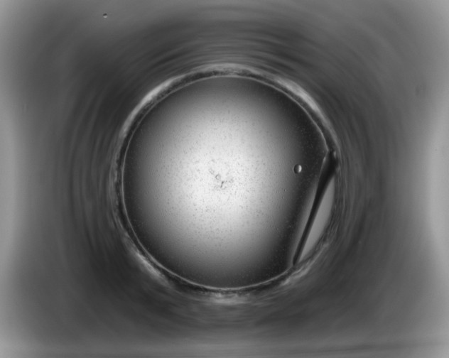 X0000086250799200704121951