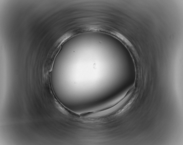 X0000086250801200704121951
