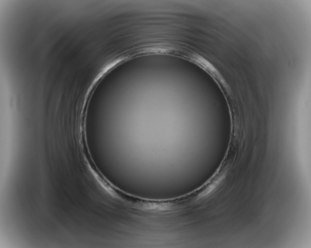 X0000086250802200704121951