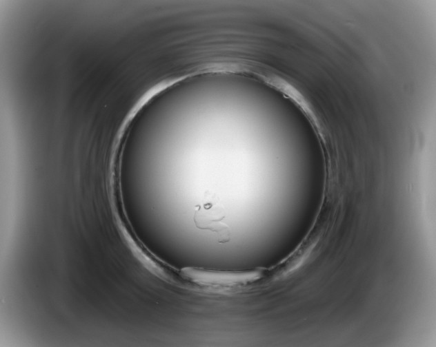 X0000086250803200704121951