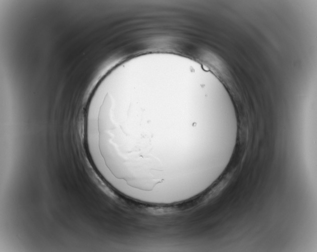 X0000086250804200704121951