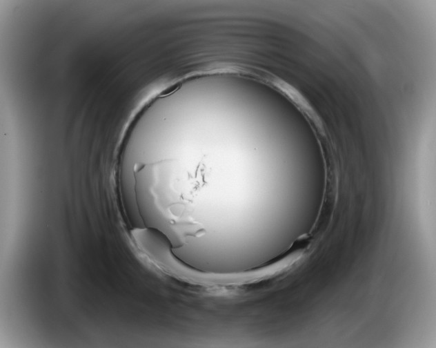 X0000086250805200704121951