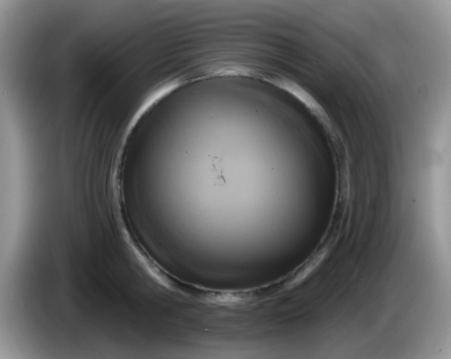 X0000086250806200704121951