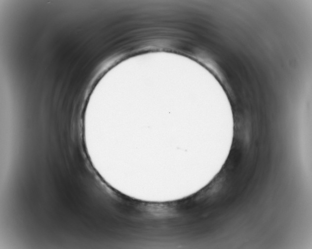 X0000086250807200704121951