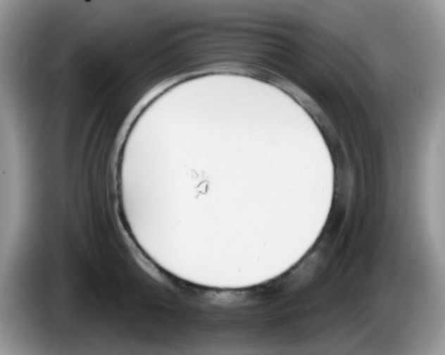 X0000086250808200704121951