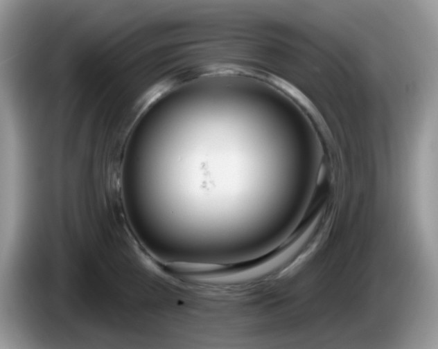 X0000086250809200704121951