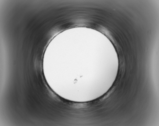 X0000086250810200704121951