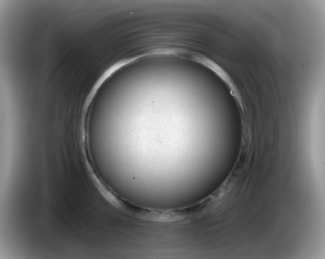 X0000086250811200704121950