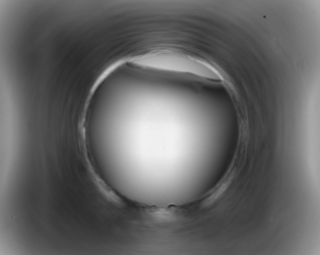 X0000086250814200704121950