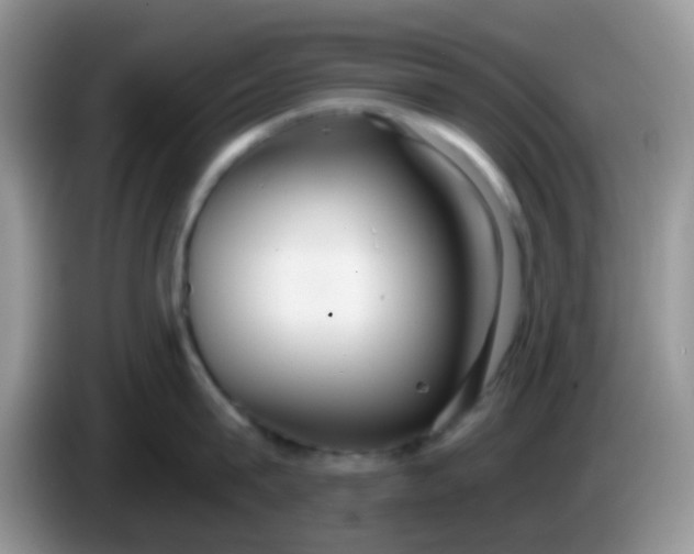 X0000086250815200704121950