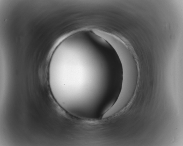 X0000086250816200704121950