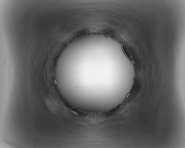 X0000086250817200704121950