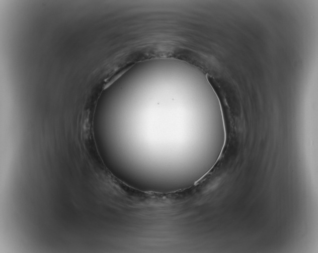 X0000086250818200704121950