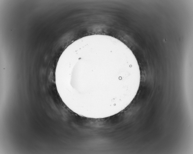 X0000086250820200704121950