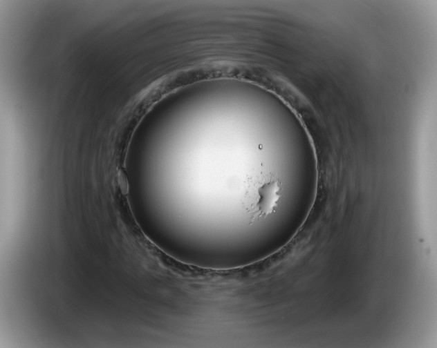 X0000086250821200704121950