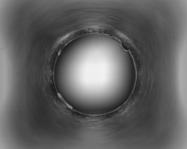 X0000086250822200704121950